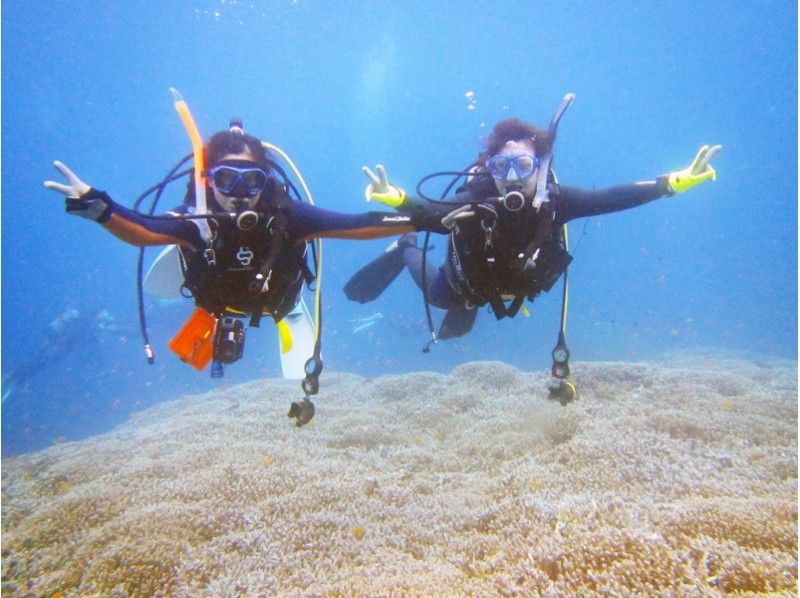 【เกาะอิชิงากิ ・ดำน้ำประสบการณ์] มาดำน้ำในทะเลที่สวยงามและดูโลกใต้ทะเล! ประสบการณ์☆ 1 วันดำน้ำ☆の紹介画像