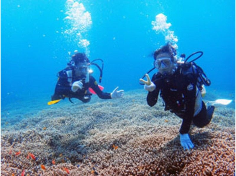 【石垣島・ダイビング体験】キレイな海を潜って水中世界を覗いてみよう！　☆ たっぷり２回コースの体験ダイビング ☆の紹介画像
