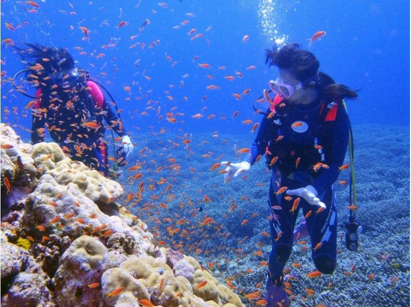 Ishigaki island In the beautiful sea of 【 Diving Experience]! Effective use of limited travel time, half-day Experience Diving course! !の紹介画像