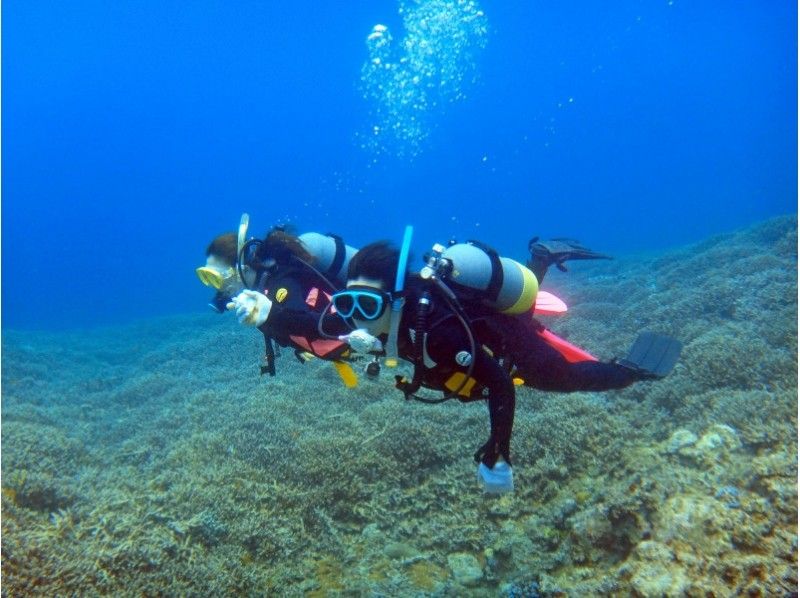 石垣岛在美丽的海边【深潜经验]！有效利用有限的旅行时间，半天的经验深潜当然！ ！の紹介画像