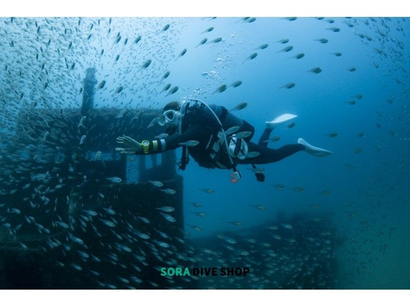 [Osaka From Wakayama] Full-scale in a minimum of 4 days Diving debut! Number of participants Limited! Beginner class at cheap rates Getting licenses courseの紹介画像