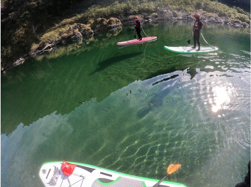 SALE! Our most popular item is a mini river SUP tour on the clear Yoshino River! Lessons included [Kochi] About 15 minutes from Otoyo ICの紹介画像