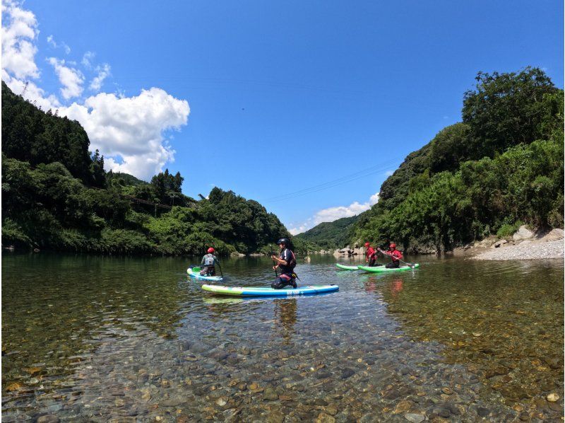 [Kochi / Yoshinogawa] First river sup experience in the clear Yoshino River (90 minutes)