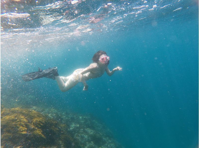 【大阪・梅田発・若狭湾沖】専用ボートチャーターで行くシュノーケリング！梅田からの往復送迎プラン!1日中海を遊びつくそう♪の紹介画像