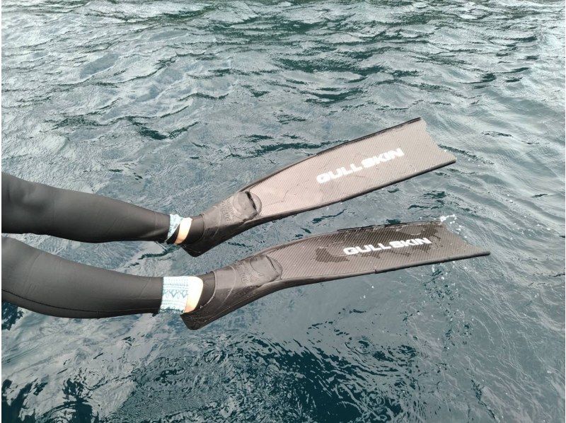 【大阪・梅田発着】透明度抜群！日本海・若狭湾での専用ボートシュノーケリング！梅田からの往復送迎プラン!1日中海を遊びつくそう♪の紹介画像