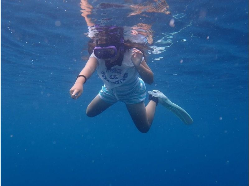 【大阪・梅田発・若狭湾沖】専用ボートチャーターで行くシュノーケリング！梅田からの往復送迎プラン!1日中海を遊びつくそう♪の紹介画像