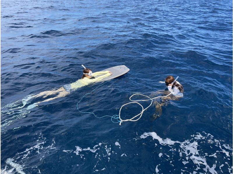 【大阪・梅田発・若狭湾沖】専用ボートチャーターで行くシュノーケリング！梅田からの往復送迎プラン!1日中海を遊びつくそう♪の紹介画像