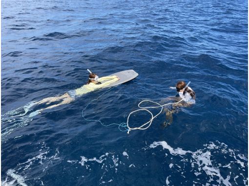 大阪・梅田発着】透明度抜群！日本海・若狭湾での専用ボート