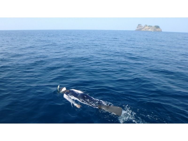 【大阪・梅田発・若狭湾沖】専用ボートチャーターで行くシュノーケリング！梅田からの往復送迎プラン!1日中海を遊びつくそう♪の紹介画像