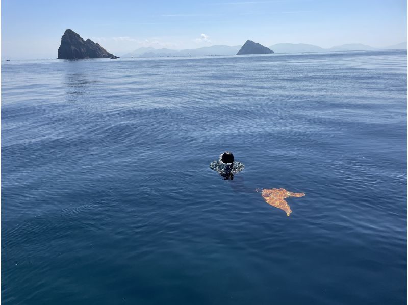 【大阪・梅田発・若狭湾沖】専用ボートチャーターで行くシュノーケリング！梅田からの往復送迎プラン!1日中海を遊びつくそう♪の紹介画像