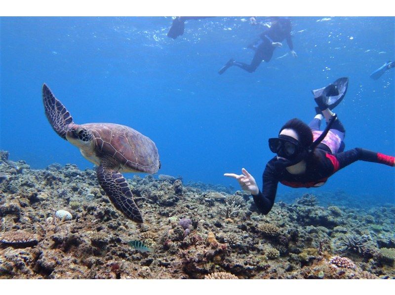Enjoy your summer vacation to the fullest! [Departing from Ishigaki Island - Disbanding at Taketomi Island] Small group size for peace of mind! Skin diving on the uninhabited island and beautiful ocean you've always dreamed of! (Half-day course)の紹介画像