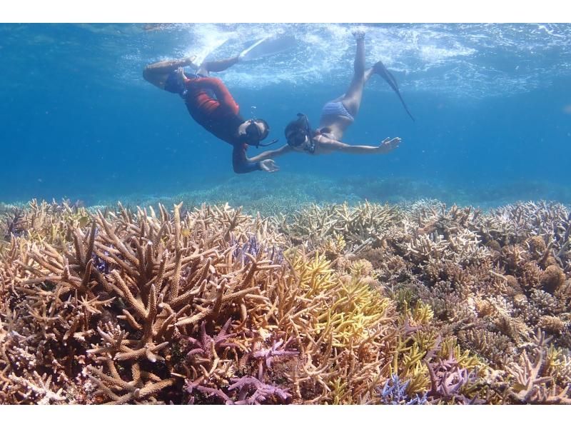 Enjoy your summer vacation to the fullest! [Departing from Ishigaki Island - Disbanding at Taketomi Island] Small group size for peace of mind! Skin diving on the uninhabited island and beautiful ocean you've always dreamed of! (Half-day course)の紹介画像