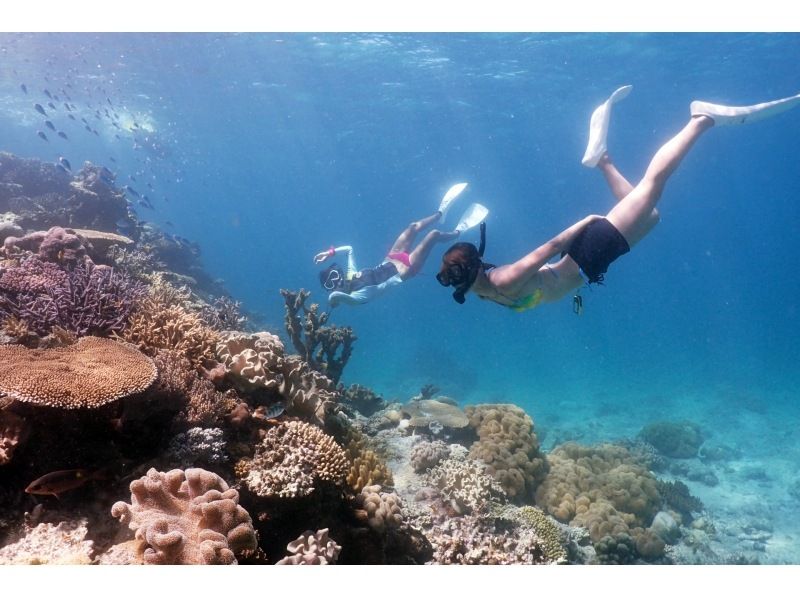 Enjoy your summer vacation to the fullest! [Departing from Ishigaki Island - Disbanding at Taketomi Island] Small group size for peace of mind! Skin diving on the uninhabited island and beautiful ocean you've always dreamed of! (Half-day course)の紹介画像