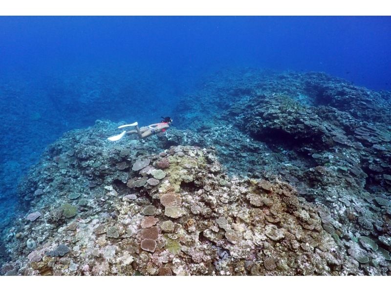 Enjoy your summer vacation to the fullest! [Departing from Ishigaki Island - Disbanding at Taketomi Island] Small group size for peace of mind! Skin diving on the uninhabited island and beautiful ocean you've always dreamed of! (Half-day course)の紹介画像