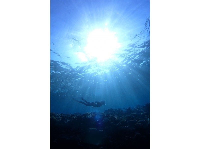 Enjoy your summer vacation to the fullest! [Departing from Ishigaki Island - Disbanding at Taketomi Island] Small group size for peace of mind! Skin diving on the uninhabited island and beautiful ocean you've always dreamed of! (Half-day course)の紹介画像