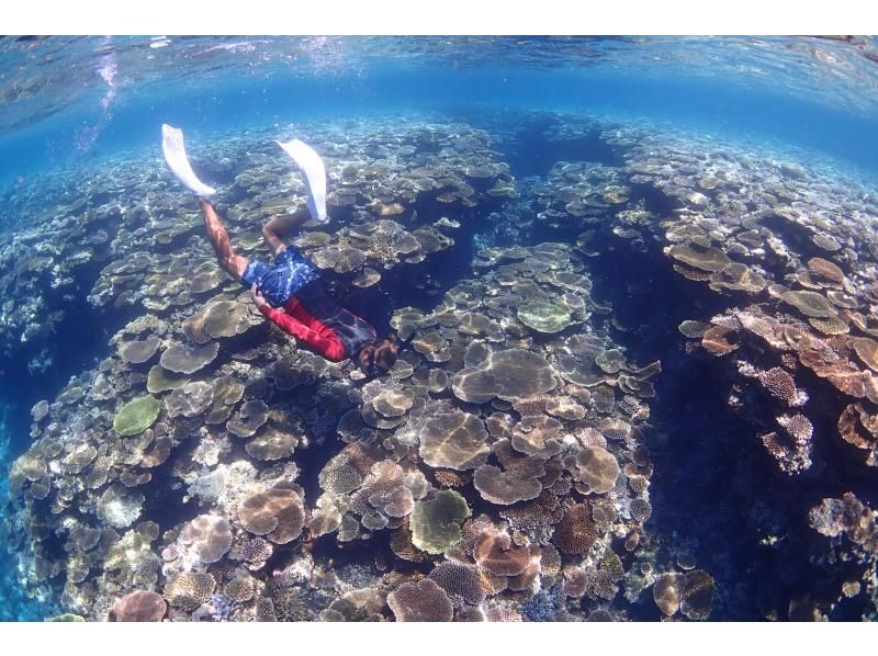 Enjoy your summer vacation to the fullest! [Departing from Ishigaki Island - Disbanding at Taketomi Island] Small group size for peace of mind! Skin diving on the uninhabited island and beautiful ocean you've always dreamed of! (Half-day course)の紹介画像