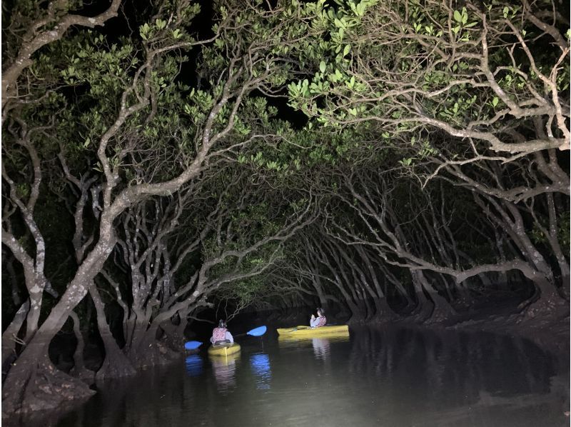 Kagoshima / Amami Oshima] Enjoy the mysterious space! Night canoe