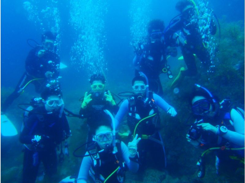 [นาโกย่า] PADI Open Water Diver [ใบอนุญาต] แน่นอน Mantaの紹介画像