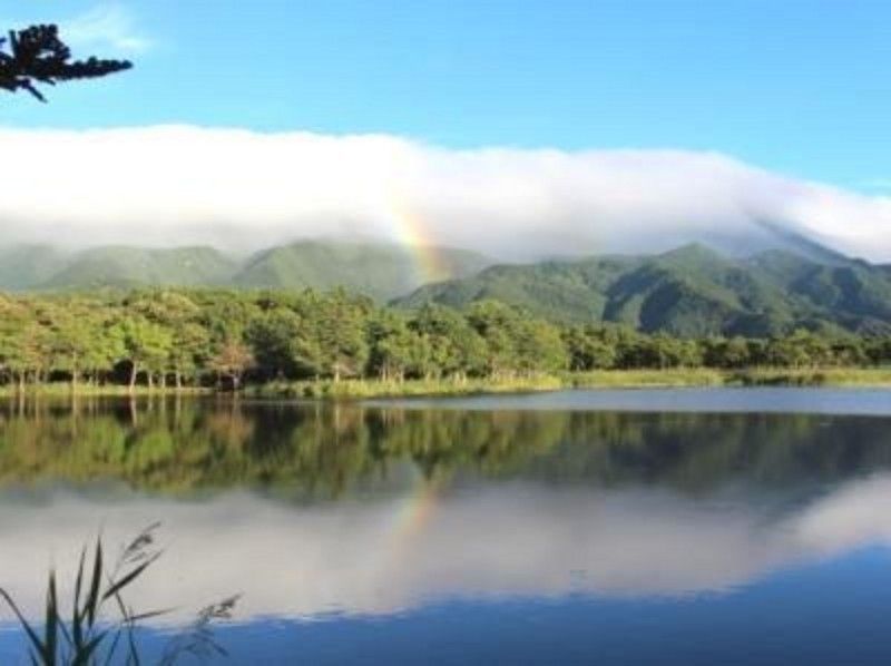 【北海道・知床】夏プログラム一番人気！知床五湖ガイドツアー ～世界自然遺産・知床の森を散策～の紹介画像