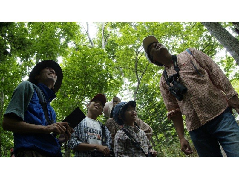 【北海道・知床】夏プログラム一番人気！知床五湖ガイドツアー ～世界自然遺産・知床の森を散策～の紹介画像