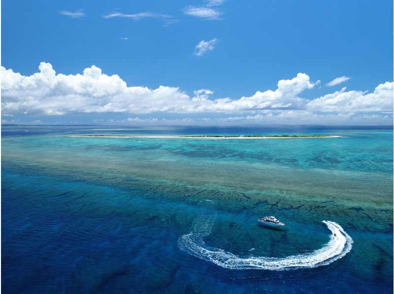 [오키나와&middot;나하] 케라마크루징& 스노클링 투어 ★ 6 세이상~ OK! ★の紹介画像