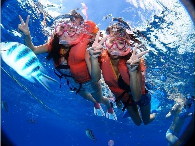 [오키나와&middot;나하] 케라마크루징& 스노클링 투어 ★ 6 세이상~ OK! ★の紹介画像