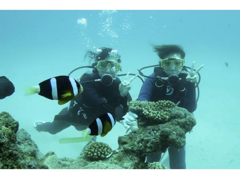 【 鹿儿岛 ·奄美大岛】 深潜点享受很多奄美大岛！范深潜の紹介画像