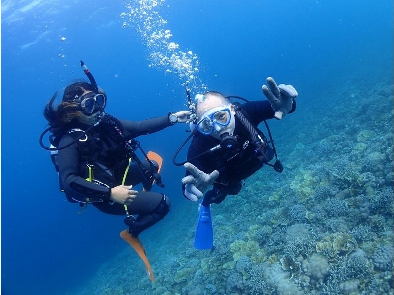 [Ishigaki Island in Okinawa] experience diving [1 to 3 dive / with lunch] to enjoy the sea without a licenseの紹介画像