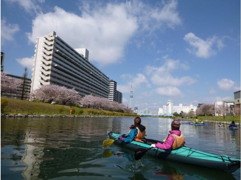 この時期限定！　桜とスカイツリーのお花見カヤックの美景！　スカイツリーカヤックツアー　少人数でプライベート感覚で楽しめます。の紹介画像