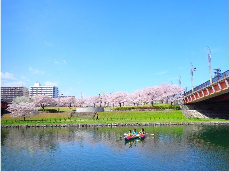 この時期限定！　桜とスカイツリーのお花見カヤックの美景！　スカイツリーカヤックツアー　少人数でプライベート感覚で楽しめます。の紹介画像