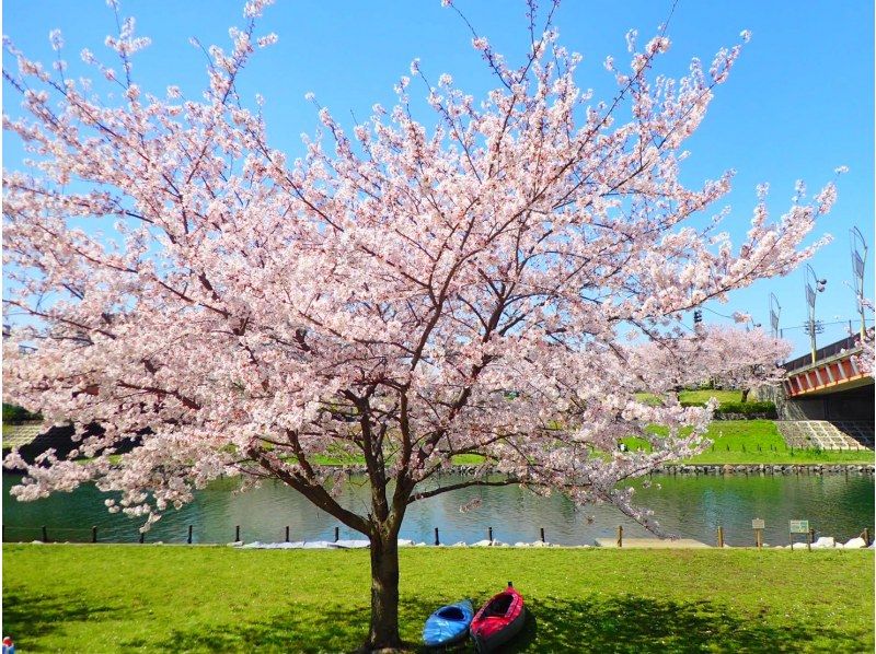 東京の春│観光・デート・お出かけで楽しめるアクティビティ・レジャー・体験・遊び