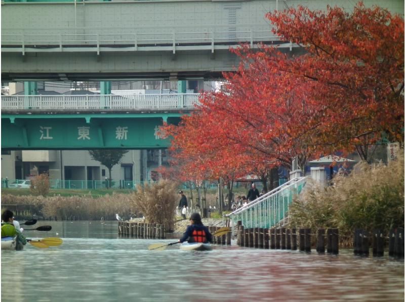 都内でカヤック体験！　スカイツリーカヤックツアー　♪女性1人参加も安心！　ガイドがサポートいたします。の紹介画像