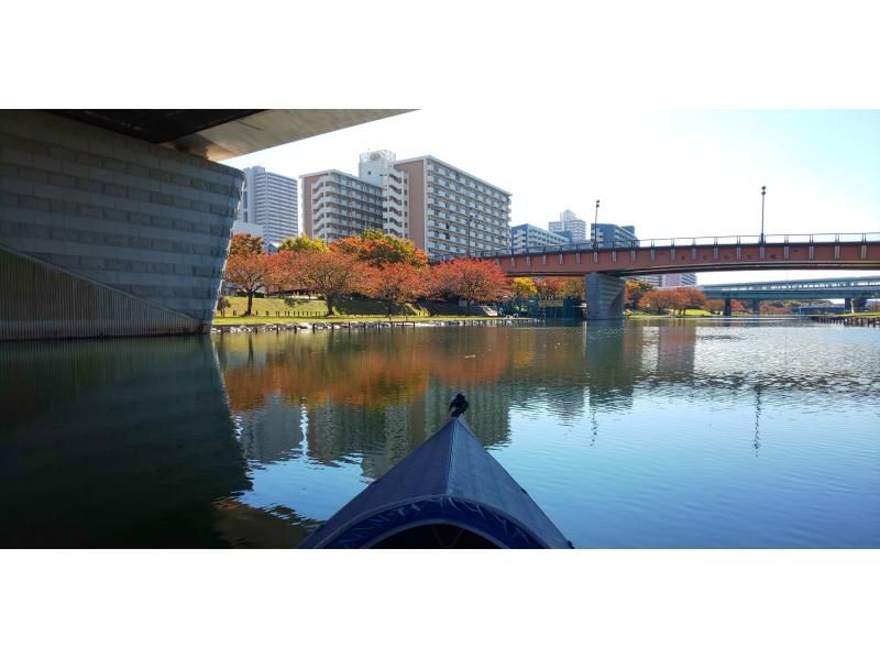 この時期限定！　桜とスカイツリーのお花見カヤックの美景！　スカイツリーカヤックツアー　少人数でプライベート感覚で楽しめます。の紹介画像