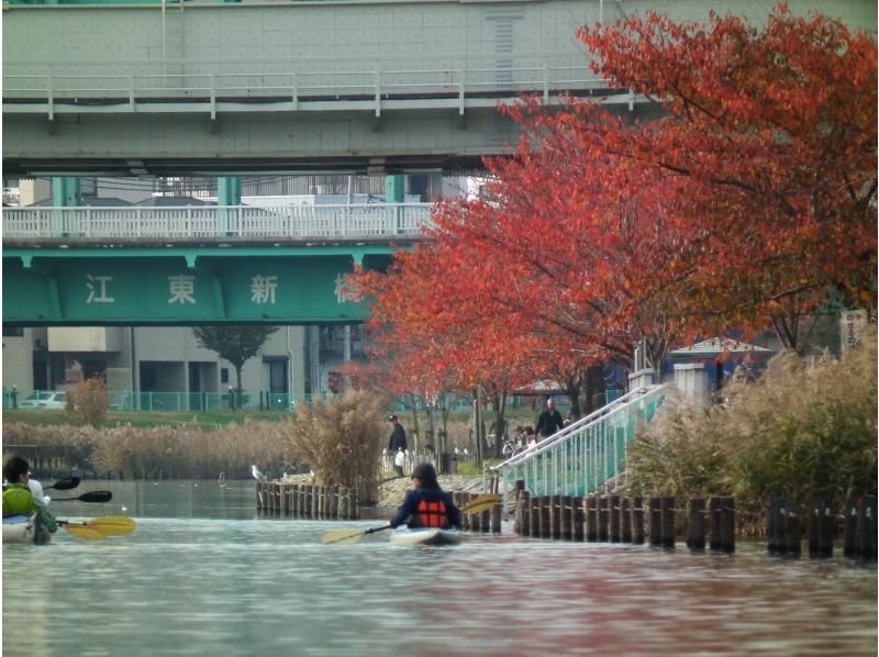 都内でカヤック体験！　スカイツリーカヤックツアー　♪地元ガイドがご案内します。の紹介画像