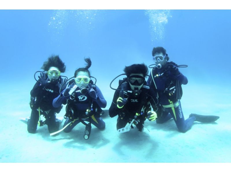 【 鹿儿岛 ·奄美大岛】即使是初学者也很安全！让我们享受奄美大海吧！体验深潜の紹介画像