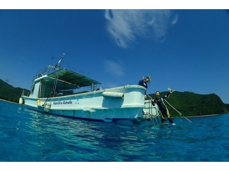 【 鹿儿岛 ·奄美大岛】在美丽清澈的海水中享受浮潜の紹介画像