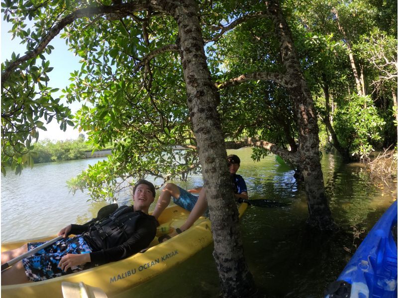 【沖縄　億首川】写真&動画データプレゼント★2才から参加可能！★マングローブの森をのんびり楽しむエコツアー！　の紹介画像