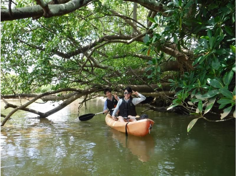 【沖縄　億首川】写真&動画データプレゼント★2才から参加可能！★マングローブの森をのんびり楽しむエコツアー！　の紹介画像