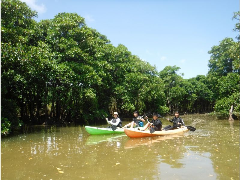 [โอกินาว่าพันล้าน Shukawa] ★สามารถเข้าร่วมได้ตั้งแต่ 2 ขวบ! ★เพลิดเพลินไปกับป่าโกงกางอย่างสบาย ๆ ! โกงกางพายเรือคายักการท่องเที่ยวの紹介画像