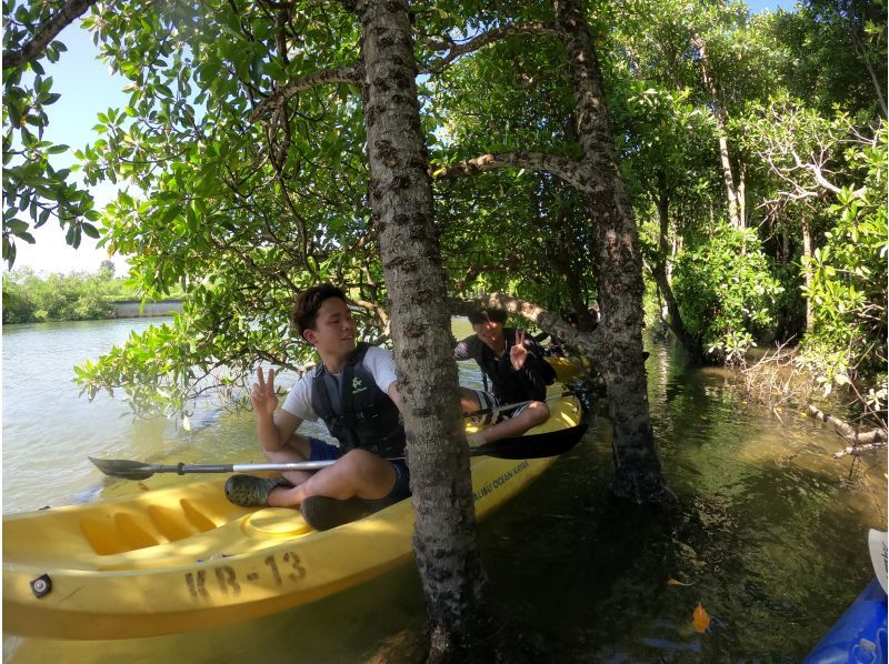 [Okinawa Billion Shukawa] ★ can participate from 2 years old! ★ Enjoy the mangrove forest leisurely! mangrove Kayak Toursの紹介画像