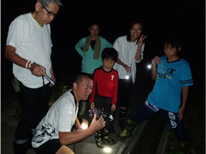 [오키나와·이시가키지마]이시가키지마나이트 사파리 투어 야간 탐험을 떠나자! ! ~の紹介画像
