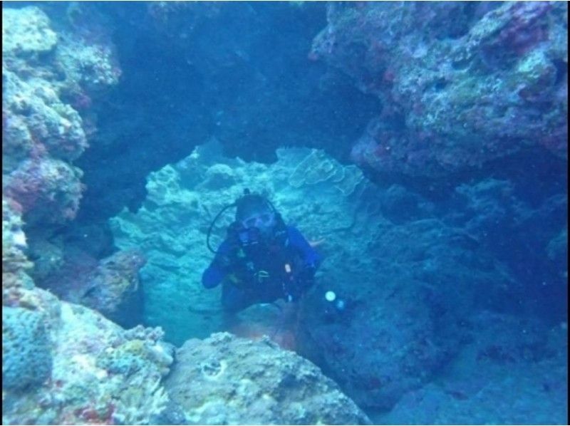 [ 오키나와 · 온 나손] 푸른 동굴 팬 다이빙 및 섬 짚신 체험 세트 코스の紹介画像