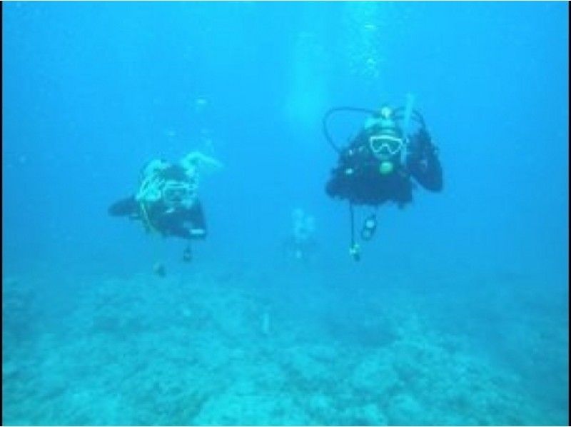[沖繩恩納]藍色洞穴粉絲潛水＆島涼鞋體驗課程設置の紹介画像
