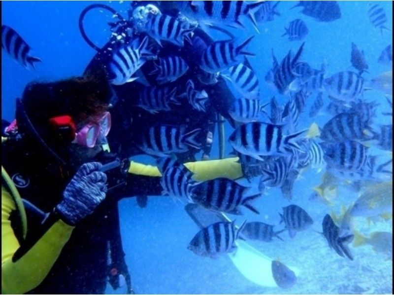 【沖縄・恩納村】熱帯魚ファンダイビング＆島ぞうり手作り体験セットコースの紹介画像