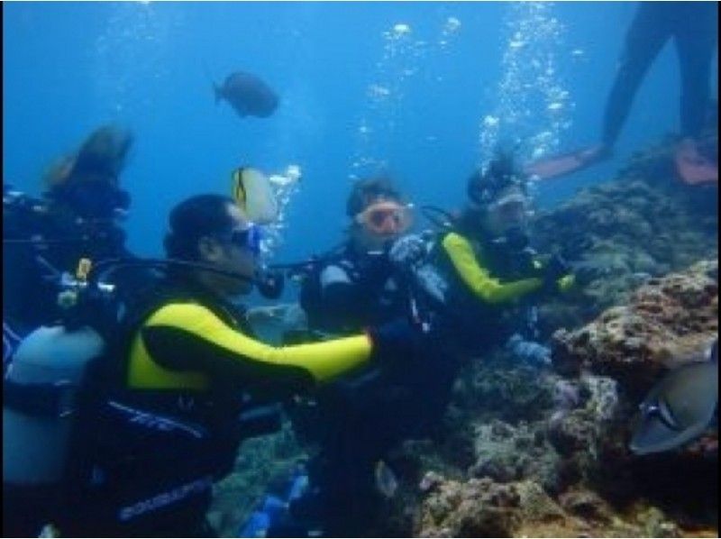 [沖繩恩納]熱帶魚粉絲潛水＆島涼鞋手工體驗課程設置の紹介画像