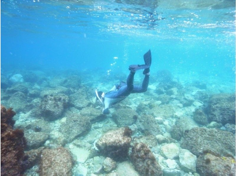 [Hyogo ・ Awaji Island 】skin Diving(One day with lunch!)の紹介画像