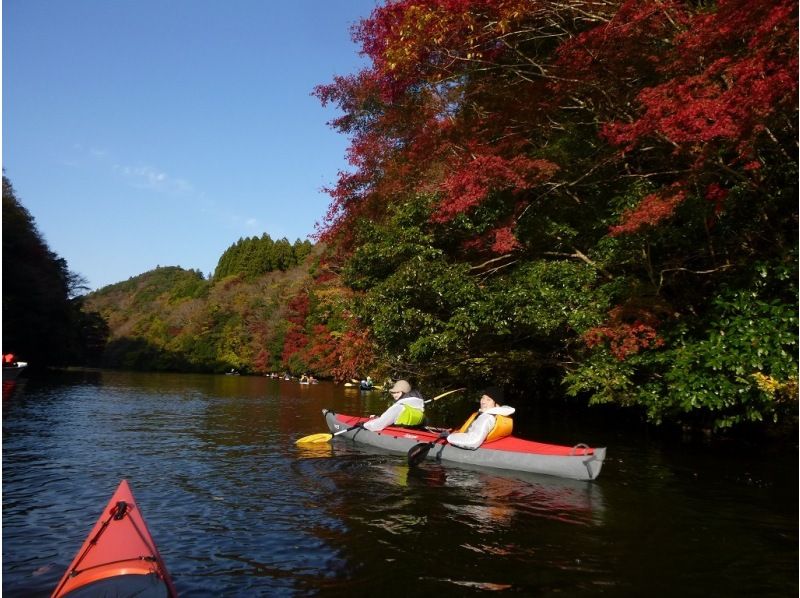 カヤックでしか行けない絶景紅葉！　　千葉県亀山湖半日カヌーツアー（平日限定）の紹介画像