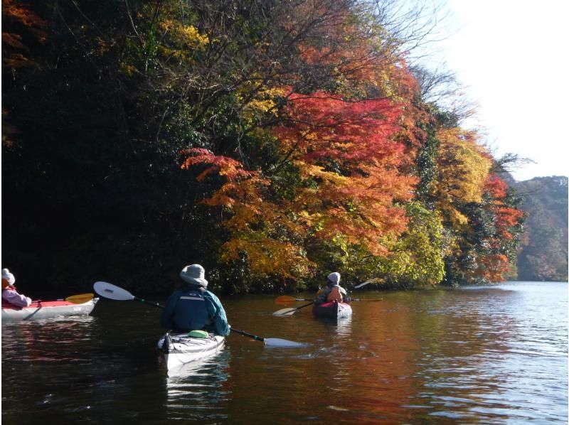 カヤックでしか行けない絶景紅葉！　　千葉県亀山湖半日カヌーツアー（平日限定）の紹介画像