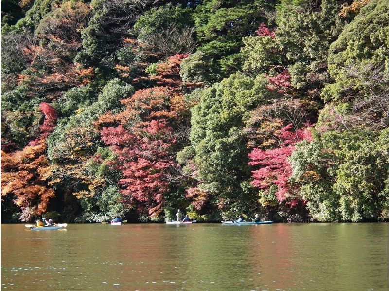 カヤックでしか行けない絶景紅葉！　　千葉県亀山湖半日カヌーツアー（平日限定）の紹介画像