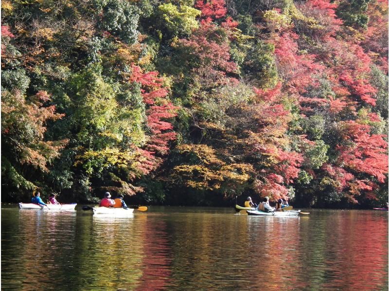 カヤックでしか行けない絶景紅葉！　　千葉県亀山湖半日カヌーツアー（平日限定）の紹介画像